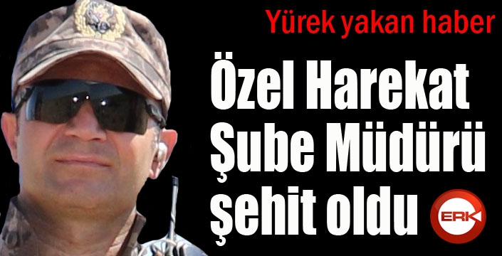 Mardin'den acı haber: Özel Harekat Şube Müdürü şehit oldu