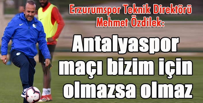 Mehmet Özdilek: 