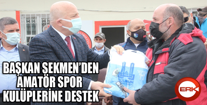 Mehmet Sekmen: 