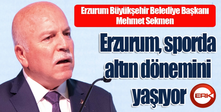 Mehmet Sekmen: 