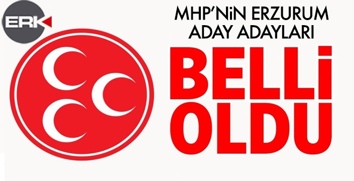 MHP'ye 27 aday adayı başvurdu