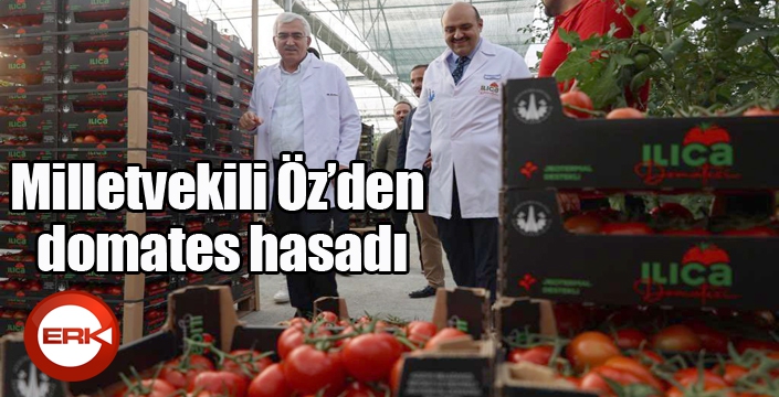 Milletvekili Öz’den domates hasadı