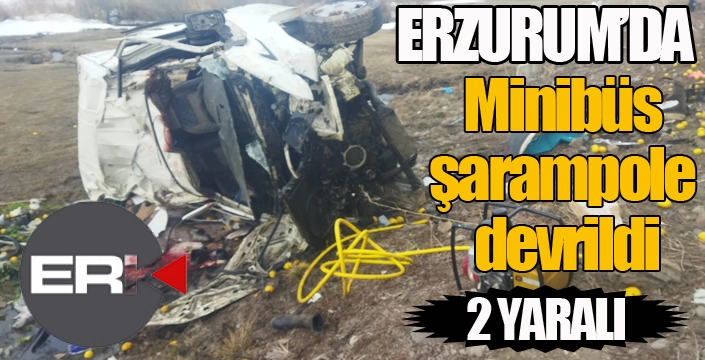 Minibüs şarampole devrildi; 2 yaralı