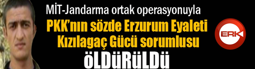 MİT-Jandarma ortak operasyonuyla Gri Liste'deki terörist öldürüldü