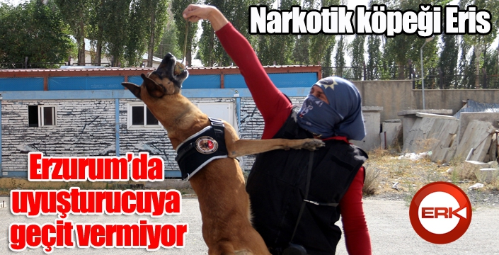 Narkotik köpeği Eris, Erzurum’da uyuşturucuya geçit vermiyor