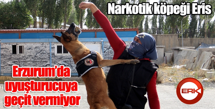 Narkotik köpeği Eris, Erzurum’da uyuşturucuya geçit vermiyor