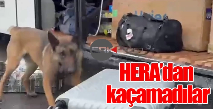 Narkotik madde arama köpeği HERA’dan kaçamadılar