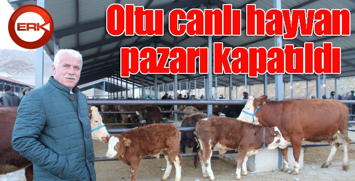 Oltu canlı hayvan pazarı kapatıldı