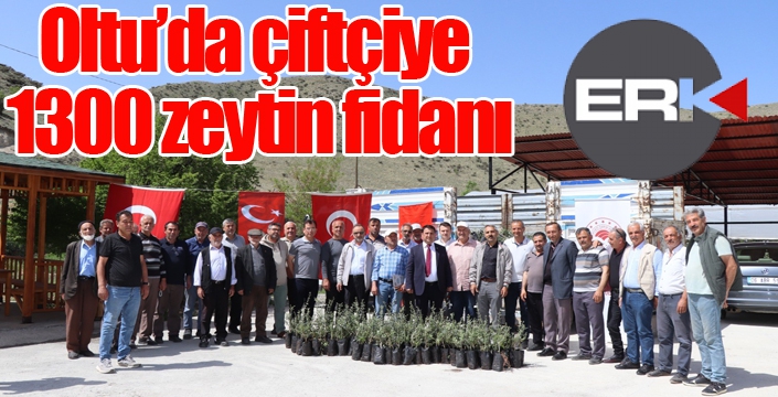 Oltu’da çiftçiye 1300 zeytin fidanı