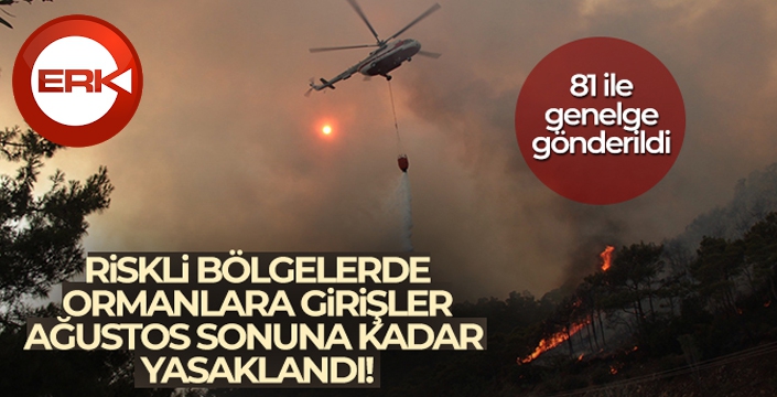 Orman yangını için riskli bölgelere girişler 31 Ağustos'a kadar yasaklandı