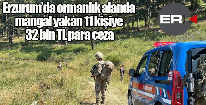 Ormanlık alanda mangal yakan 11 kişiye 32 bin TL para cezası
