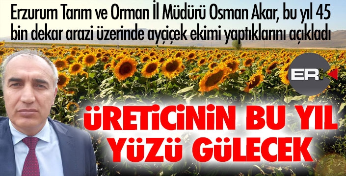 Osman Akar: Ayçiçek üreticisinin yüzü gülecek