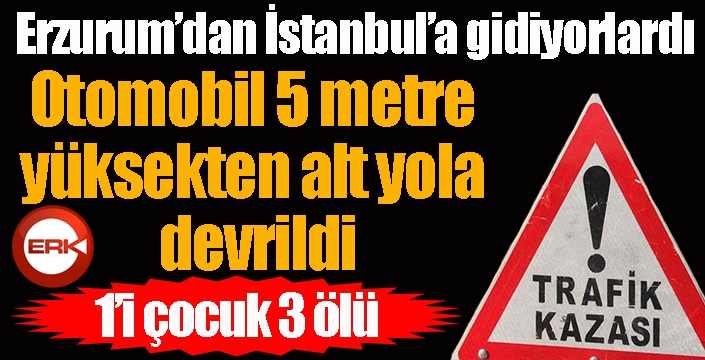 Otomobil 5 metre yüksekten alt yola devrildi: 1’i çocuk 3 ölü