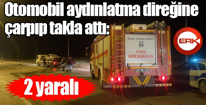 Otomobil aydınlatma direğine çarpıp takla attı: 2 yaralı