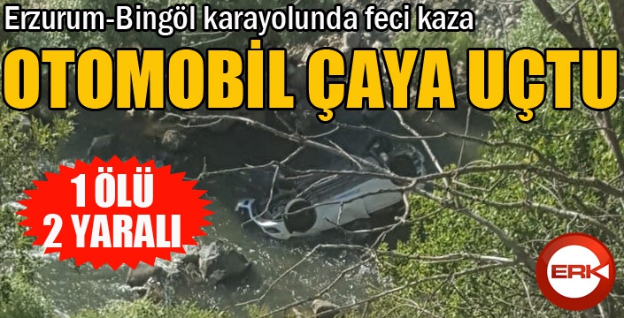 Otomobil çaya uçtu: 1 ölü, 2 yaralı