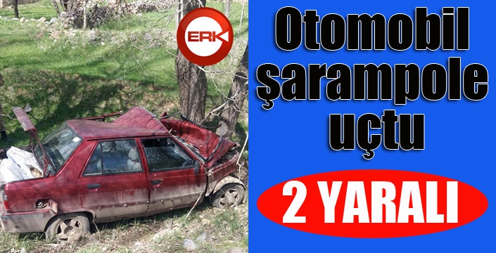 Otomobil şarampole uçtu: 2 yaralı