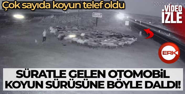 Otomobilin koyun sürüsüne dalma anı kamerada