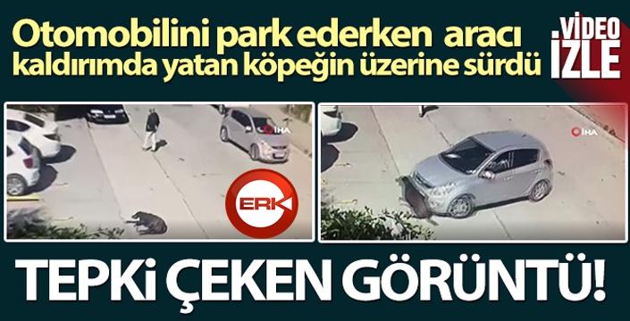 Otomobilini park ederken aracı kaldırımda yatan köpeğin üzerine sürdü