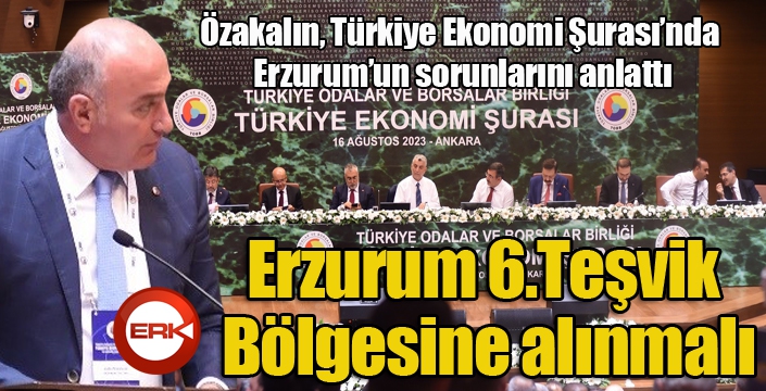 Özakalın, Türkiye Ekonomi Şurası’nda Erzurum’un sorunlarını anlattı