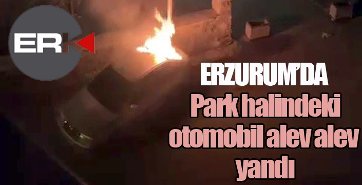 Park halindeki otomobil alev alev yandı