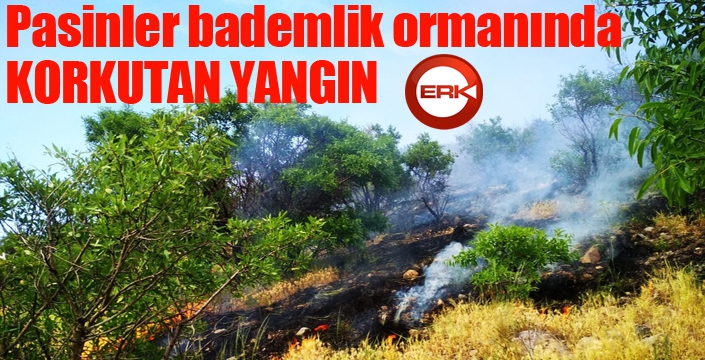 Pasinler'de bademlik ormanında çıkan yangın korkuttu