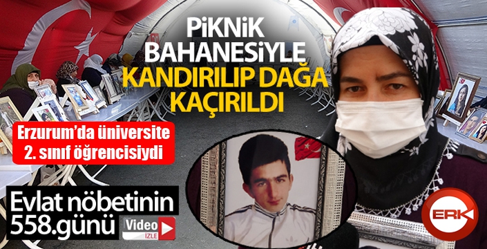 Piknik bahanesiyle kandırılıp dağa kaçırıldı