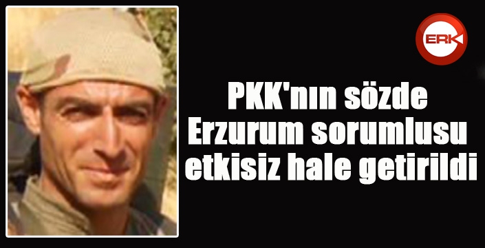 PKK'nın sözde Erzurum sorumlusu etkisiz hale getirildi