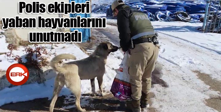 Polis ekipleri yaban hayvanlarını unutmadı