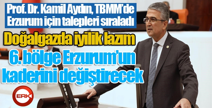 Prof. Dr. Kamil Aydın’ın Meclis’i Erzurum’la aydınlattı