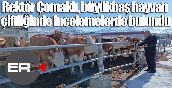 Rektör Çomaklı, büyükbaş hayvan çiftliğinde incelemelerde bulundu