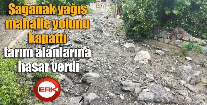 Sağanak yağış mahalle yolunu kapattı, tarım alanlarına hasar verdi