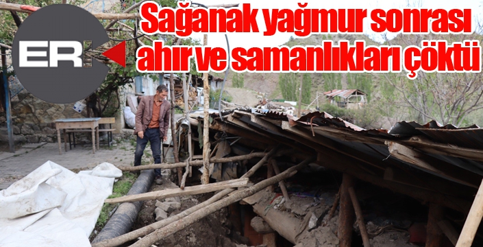 Sağanak yağmur sonrası ahır ve samanlıkları çöktü