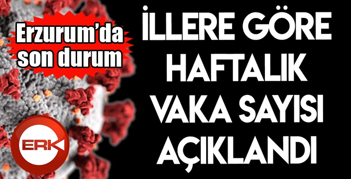 Sağlık Bakanı Fahrettin Koca illere göre haftalık vaka sayıları açıkladı