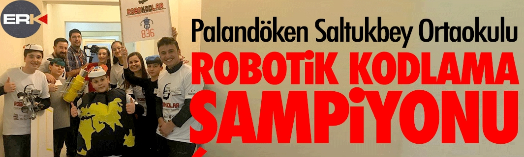 Saltukbey Ortaokulu robotik kodlamada birinci oldu  