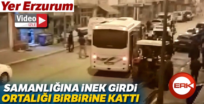 Samanlığına inek giren şahıs cinnet geçirdi