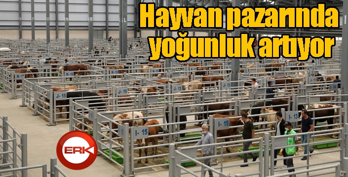 Satıcıların arefe günü umudu