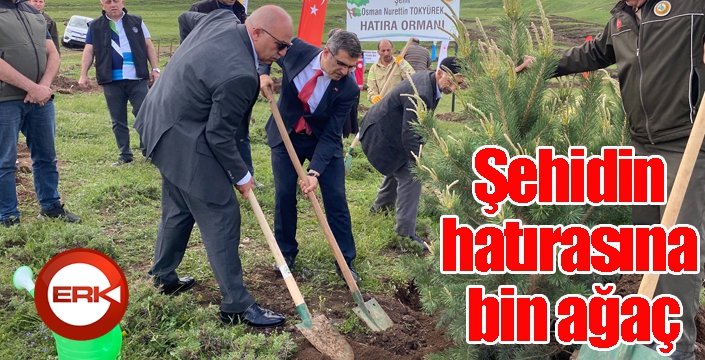 Şehidin hatırasına bin ağaç