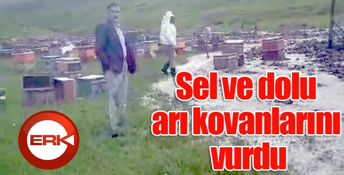 Sel ve dolu arı kovanlarını vurdu