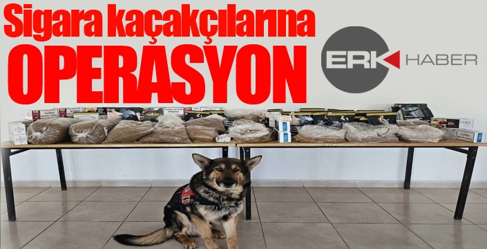 Sigara kaçakçılarına operasyon