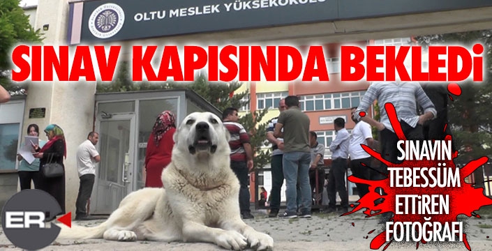 Sınava giren sahibini okulun kapısında bekledi 