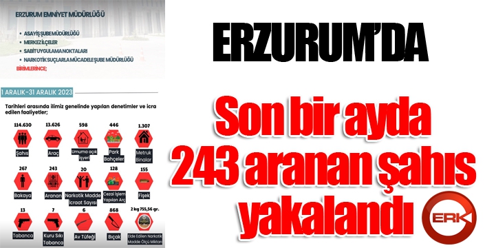 Son bir ayda 243 aranan şahıs yakalandı