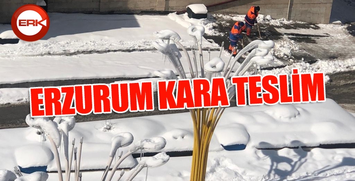 Son yılların en yoğun kar yağışı yaşanıyor