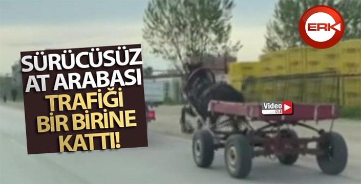 Sürücüsüz at arabası trafiği bir birine kattı