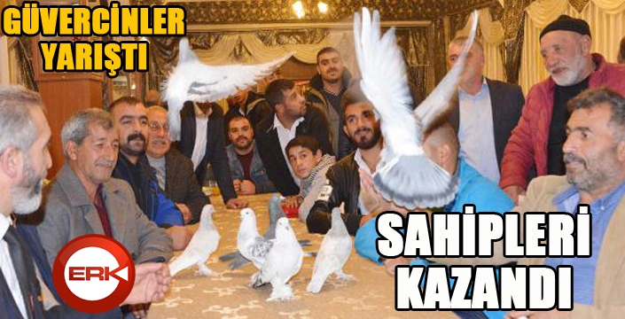 Taklacı güvercinler yarıştı, sahipleri kazandı