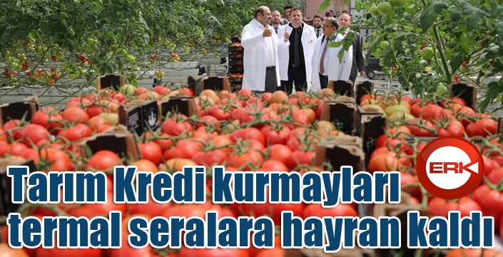 Tarım Kredi kurmayları termal seralara hayran kaldı