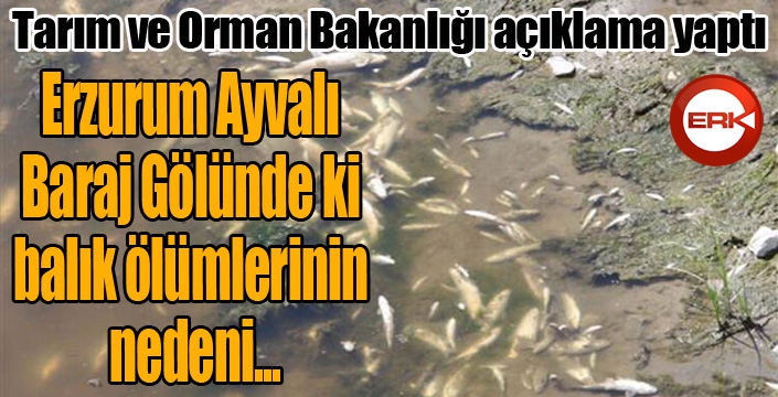 Tarım ve Orman Bakanlığından ‘balık ölümleri’ açıklaması 