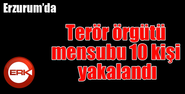 Karayazı'da HDP'li meclis üyelerine operasyon... 10 gözaltı...