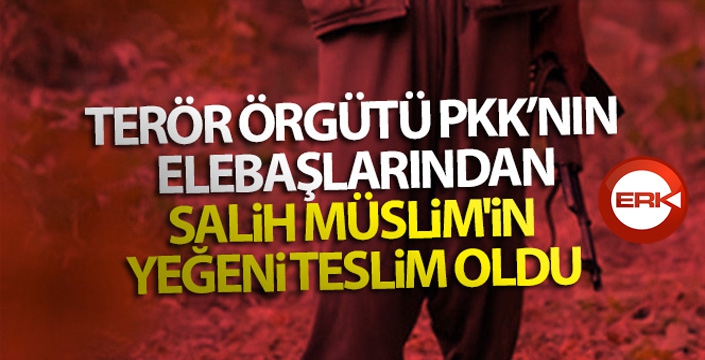 Terör örgütü PKK'nın elebaşlarından Salih Müslim'in yeğeni teslim oldu