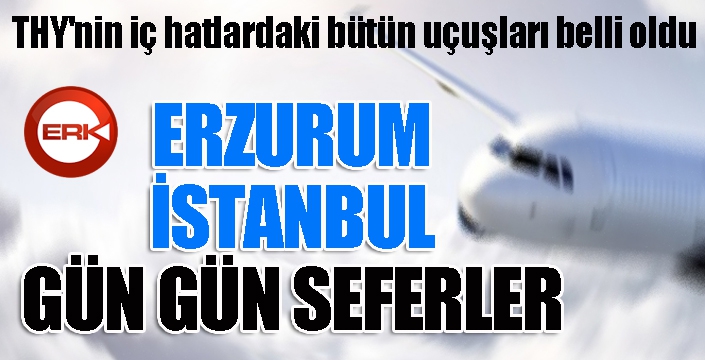 THY'nin iç hatlardaki bütün uçuşları belli oldu