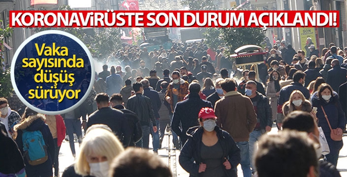 Türkiye'de son 24 saatte 24.733 koronavirüs vakası tespit edildi